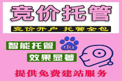 某公司通过百度SEM竞价推广实现快速市场扩张的秘诀